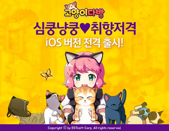 종다방 이미지