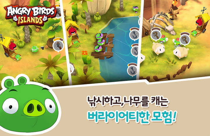 버드아일랜드 이미지