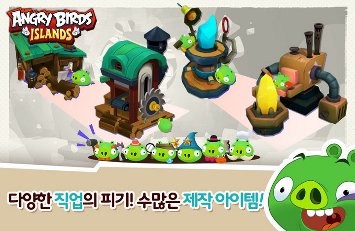 버드아일랜드 이미지