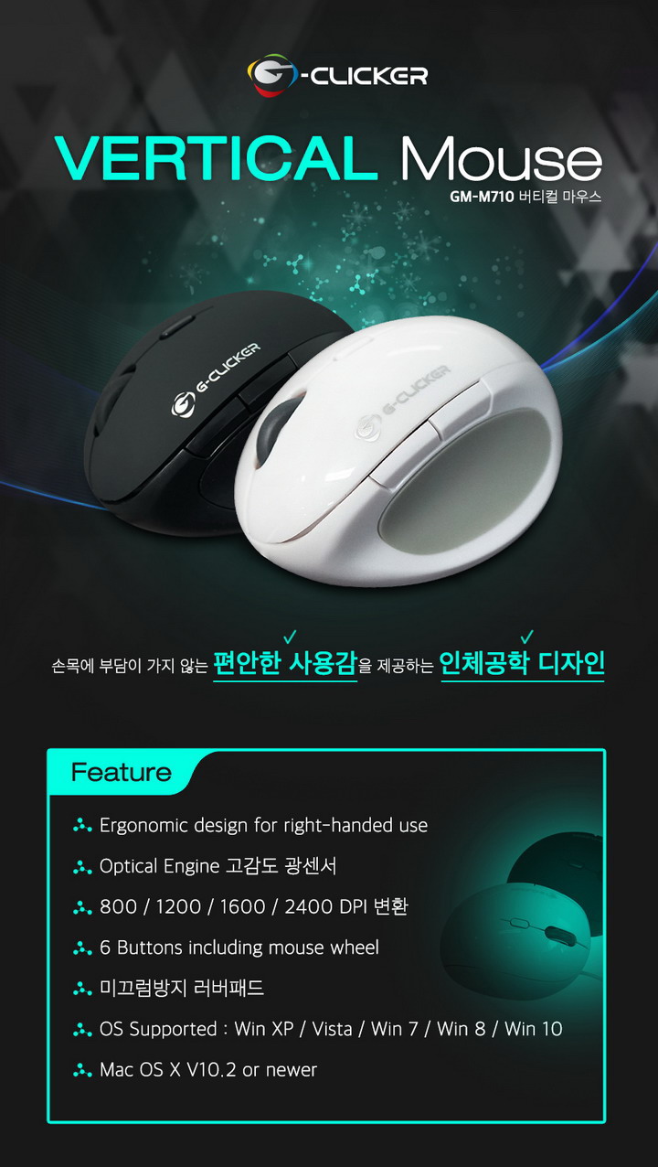 디비스토리 이미지
